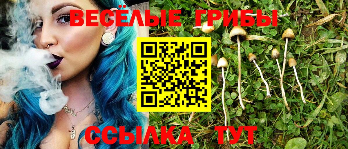 Галлюциногенные грибы MAGIC MUSHROOMS Долгопрудный