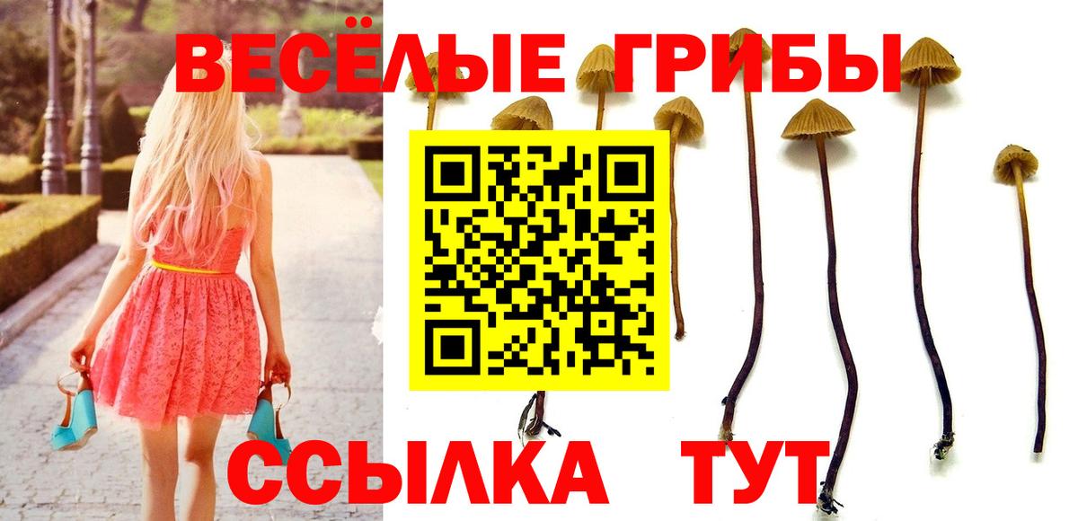 Долгопрудный  Псилоцибиновые грибы ЛСД  даркнет сайт  Вход с VPN 