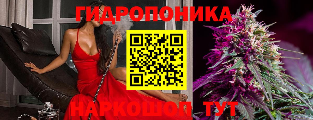 Каннабис Bruce Banner Долгопрудный